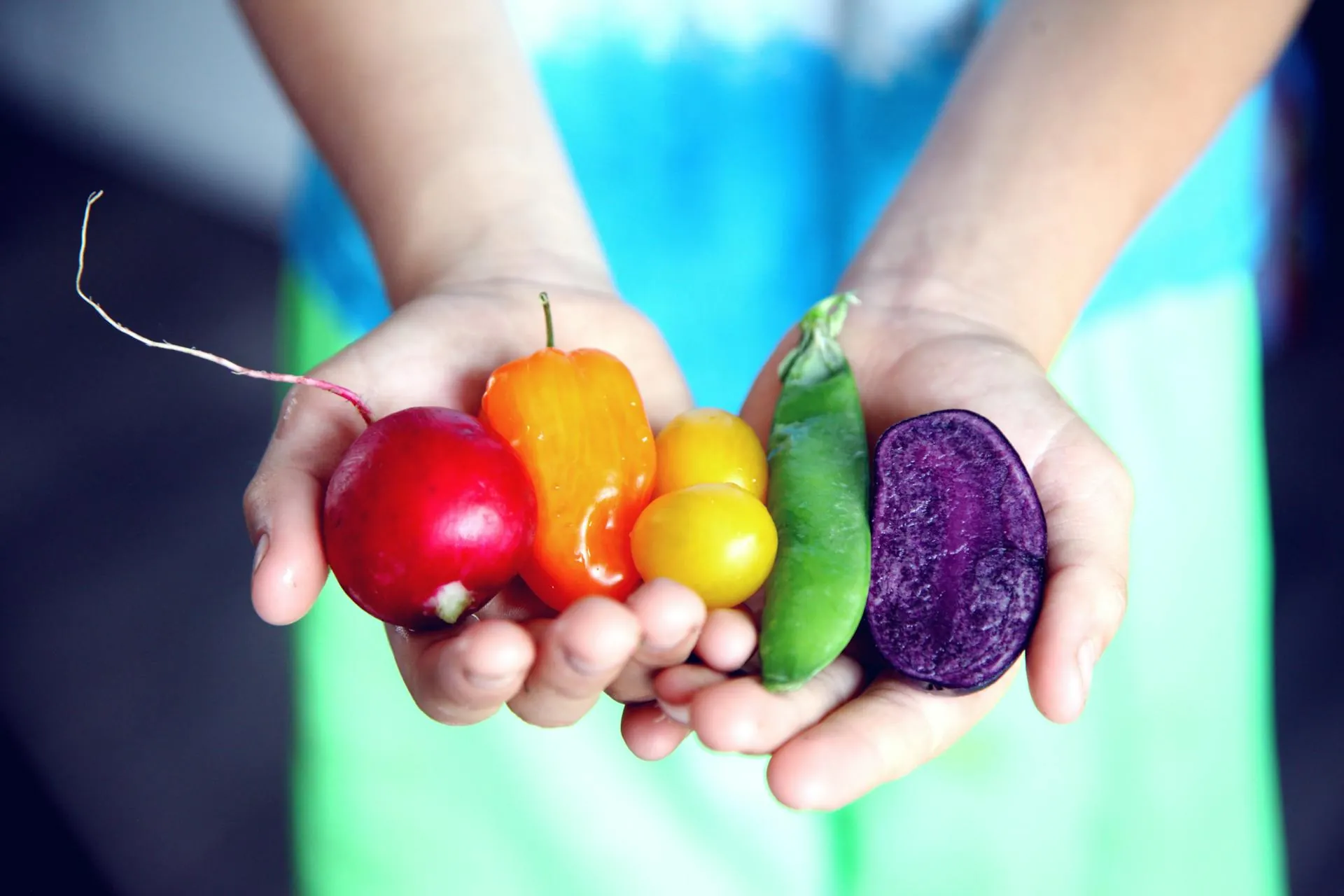 Nutrisi Sehat untuk Menjaga Vitalitas Pria Dewasa